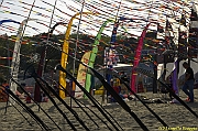 32 FESTIVAL CERVIA 2012 - 081
